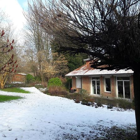 Un Grand Jardin En Ville. Chez Guy Uccle Exterior photo