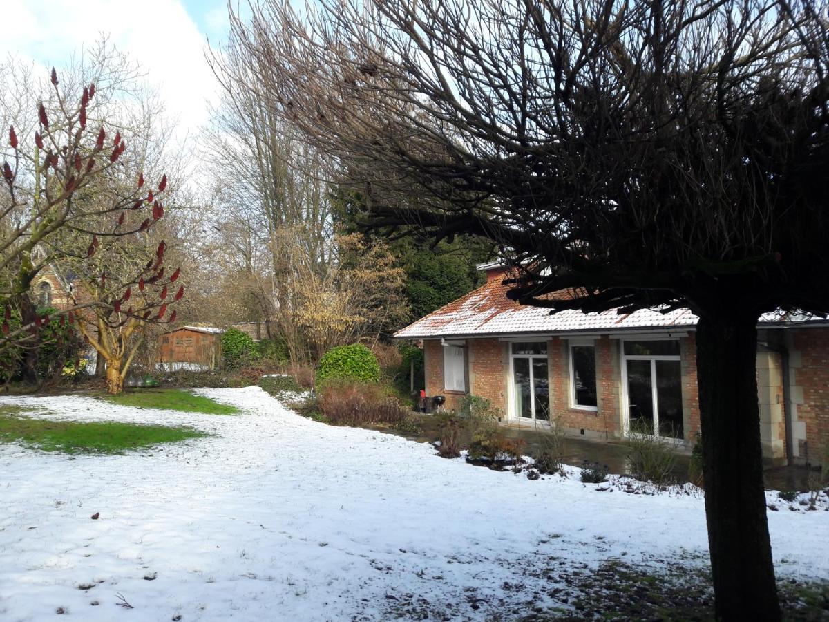 Un Grand Jardin En Ville. Chez Guy Uccle Exterior photo
